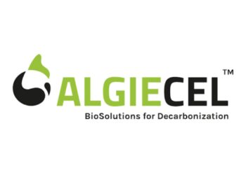 algiecel