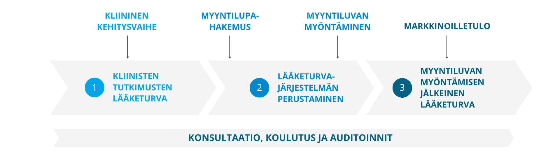 LÄÄKETURVAA VALMISTEEN KOKO ELINKAAREN AJAN