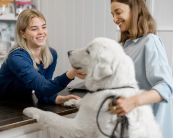 Veterinary Medicines Regulation