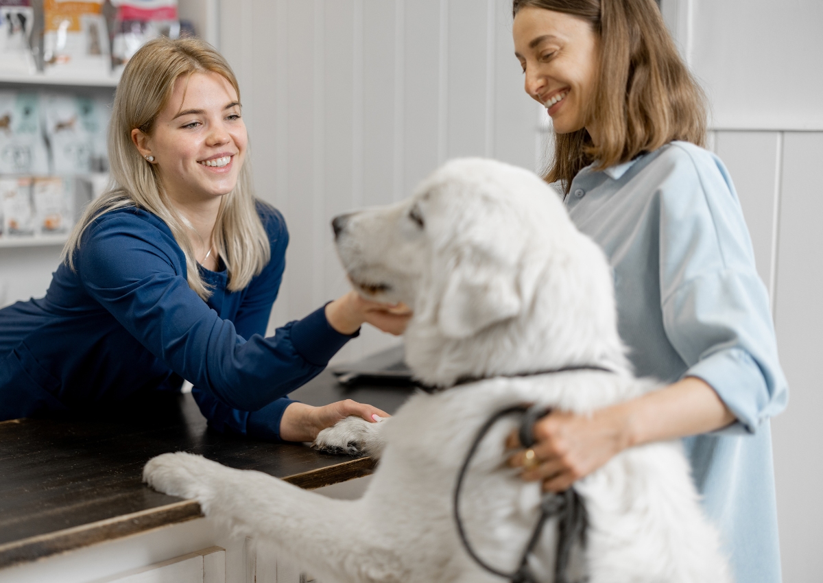 Veterinary Medicines Regulation (EU) 2019/6 almost 3 years on: An overview from a pharmacovigilance perspective