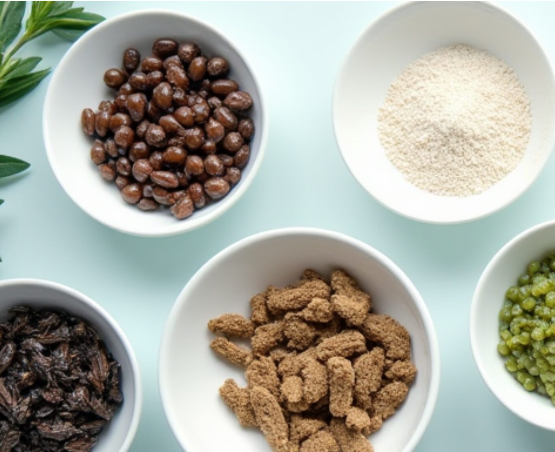 novel foods eu explained